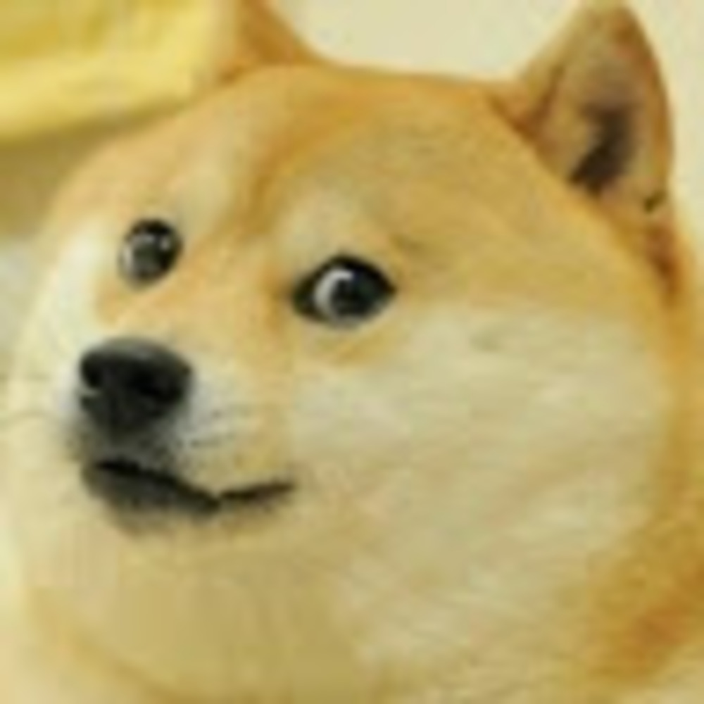 Meet your Posher, Just a random